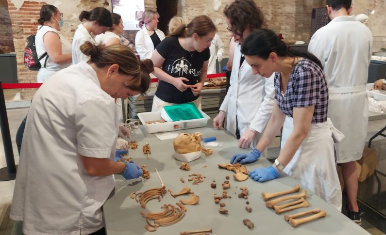 Los restos óseos y momificados de Quinto, objeto de estudio del Curso Extraordinario de antropología